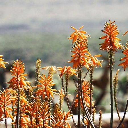 Cortijo El Paraiso Лос-Ескульос Екстер'єр фото